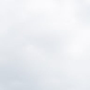 Meet your Posher, Troy